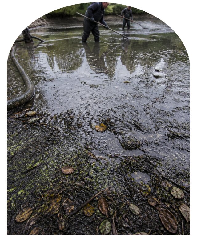 Очистка пруда в Тайшете от ила мусора и водорослей с вывозом